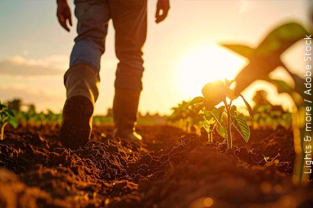 Arrendatário sem perfil de homem do campo não tem direito de preferência sobre imóvel