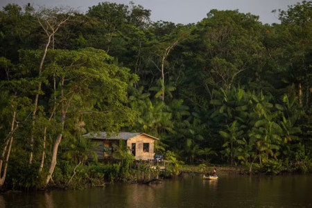 Brasil possui 67 milhões de hectares sem informação fundiária e 24,6 milhões fora do CAR, revela levantamento