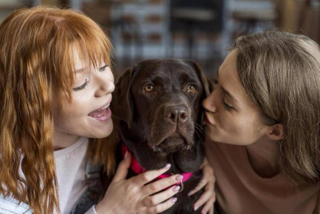 Pets terão guarda compartilhada em caso de separação dos tutores