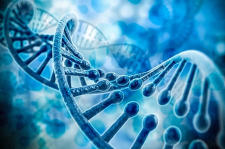 TJSC afasta paternidade registral após DNA negativo e ausência de vínculo socioafetivo
